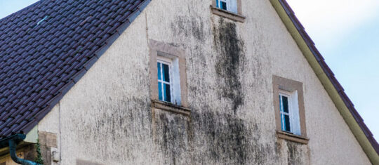 façade doit être rénovée